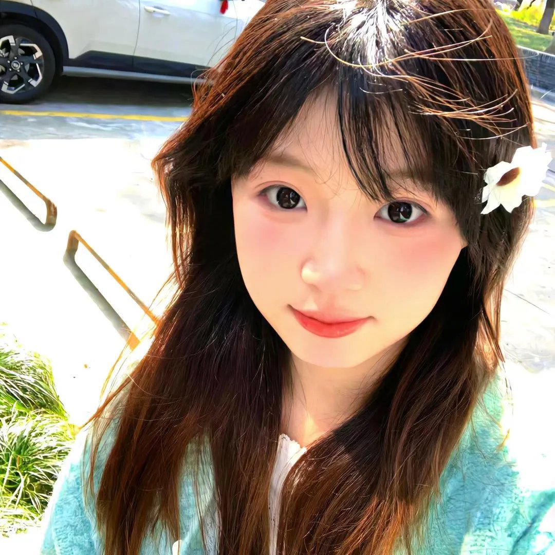 故园风雨后